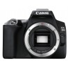 Canon EOS 250 D body